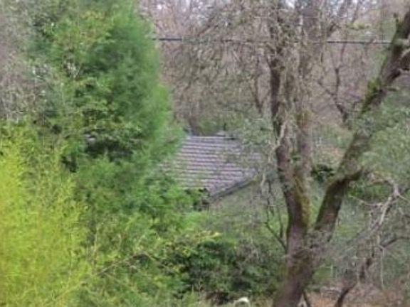Property Side View