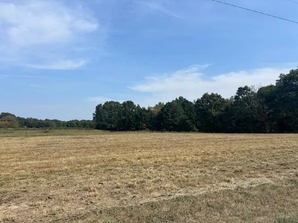 000 Century Farm Rd. Road, Fordland, MO 65652