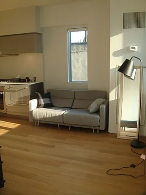 Rented by Furumoto Realty of New York City Inc | media 17