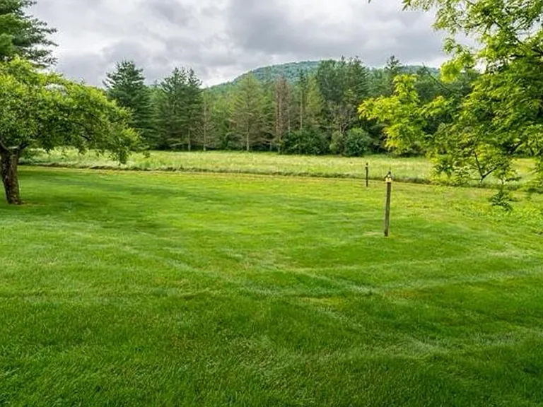 20 acres of front yard, open fields and mountain views!