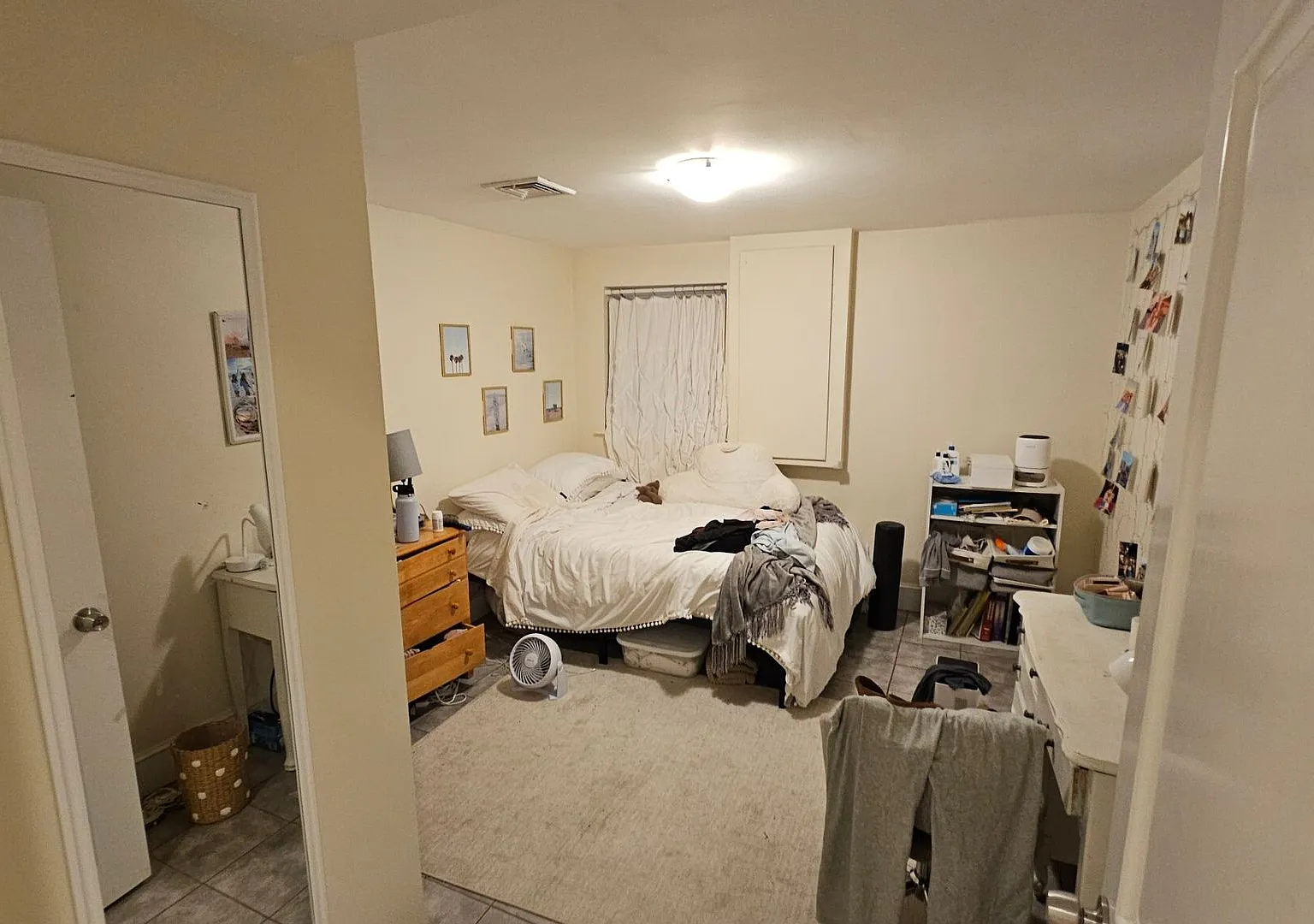 Modern Gem near BC Campus! Short Walk? Spacious, Sunny and Professionally managed. Parking Avail ... — Photo 4