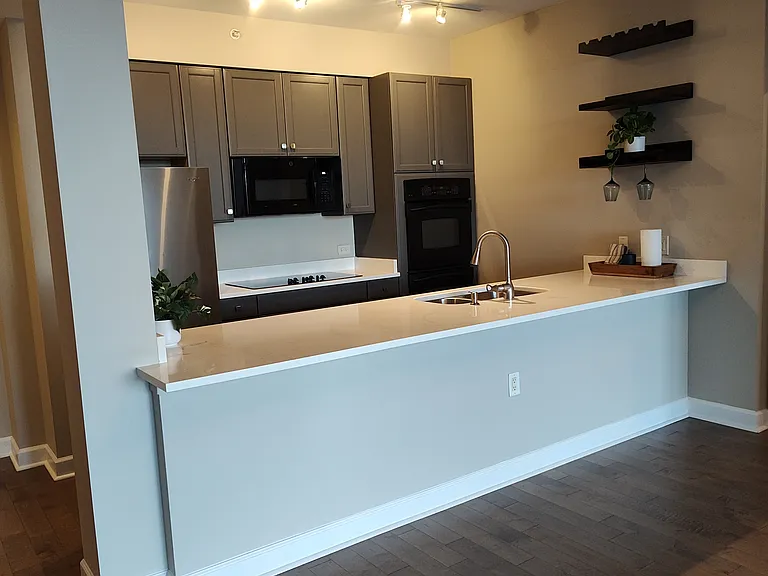 1235 S Prairie Ave #603 — Photo 6
