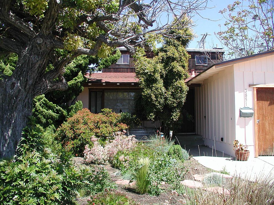 1st image of 3851 Shasta St