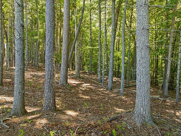 4th image of 4 Ridge St