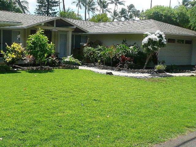 Front Yard