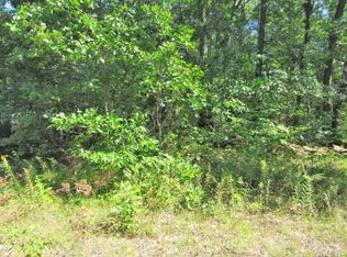 Skeels Rd, Montague, MI 49437