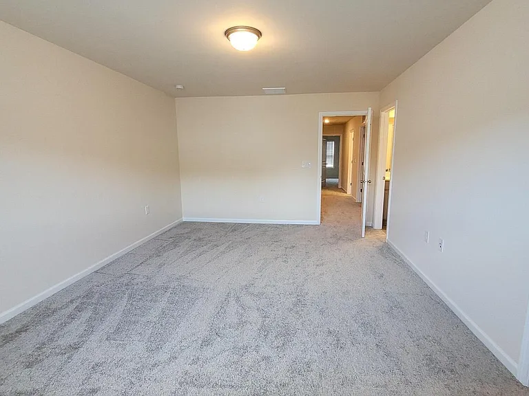 234 Ribbon Rail St — Photo 29