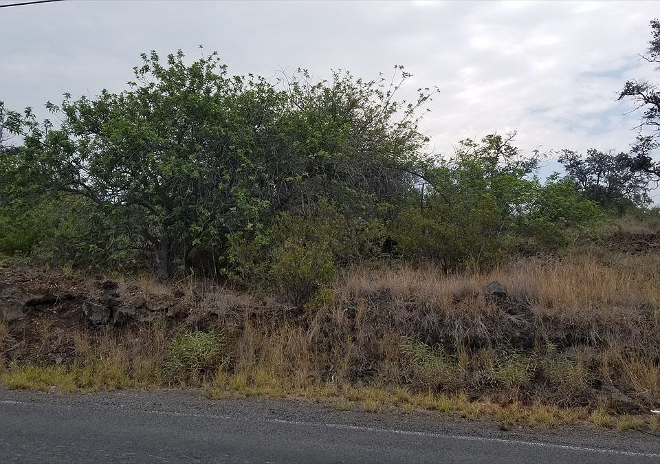 2nd image of Lot 27