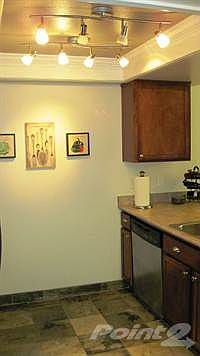 Kitchen - Floor and Lighting