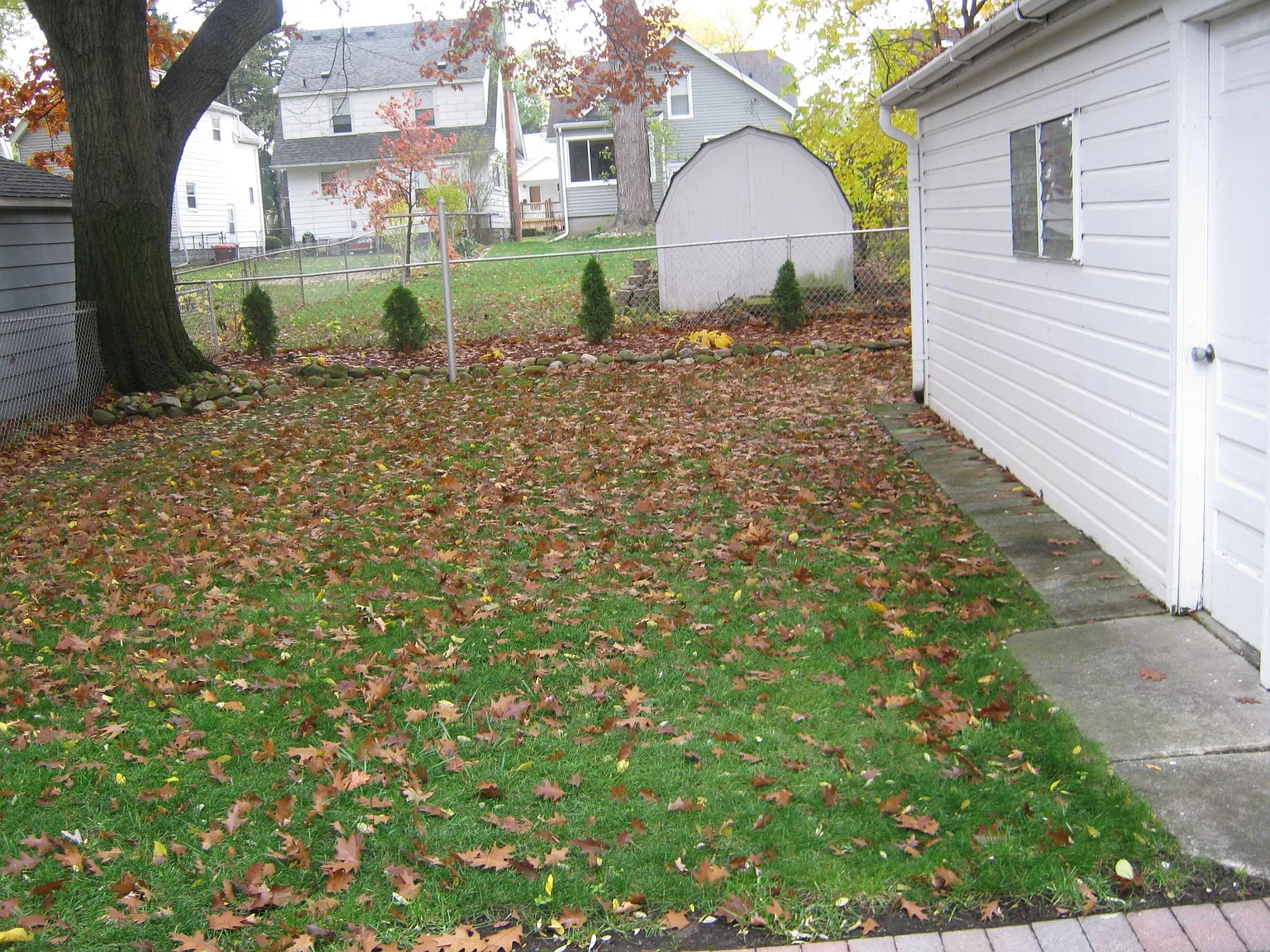 2 bed, 770 sqft, $1,600 — Photo 2