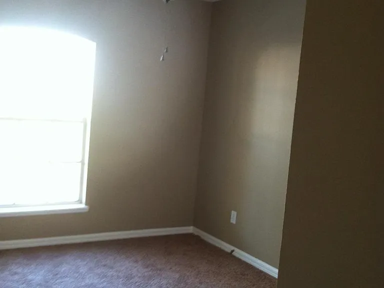 11603 Purple Lilac Cir — Photo 8
