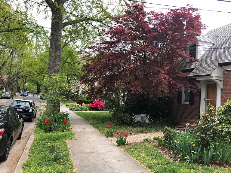 Front street view of house showing beauty of Appleton Street.