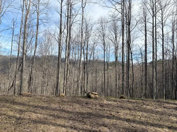 269 Flowering Ridge Rd, Whittier, NC 28789