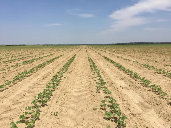 (undisclosed Address), Marks, MS 38646