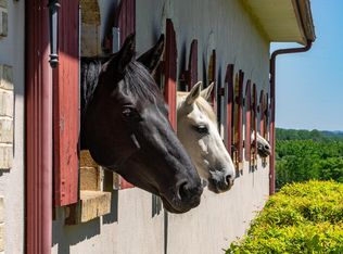 100 Equus Loop, Natural Bridge, VA 24578
