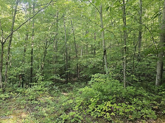 5th image of 2 Franklin Ln Lot 2