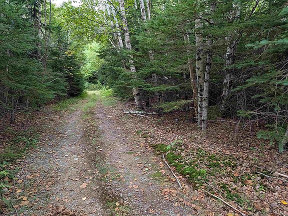 2nd image of LOT 2 Highway 316 Country