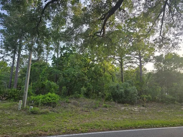 116 Oak Village Blvd S Lot 9, Homosassa, FL 34446