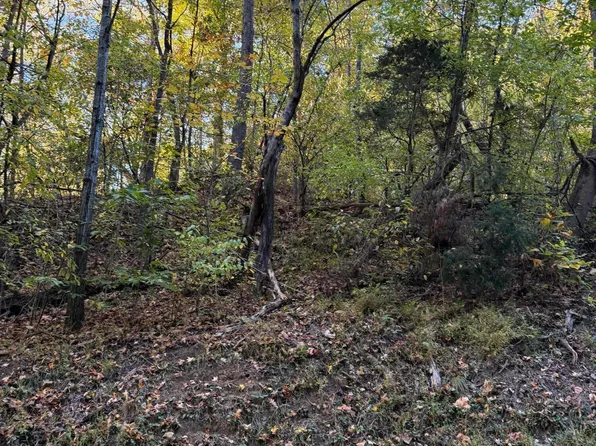 Hobbs Hollow Rd, Blountville, TN 37617