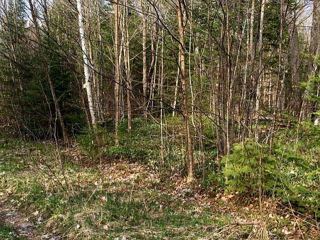 2nd image of Lot On Hwy 17