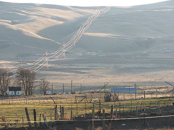 View to the south