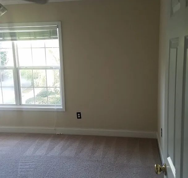 201 Hampton Forest Dr — Photo 21