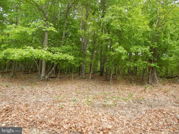 Plum Tree Ln, Berkeley Springs, WV 25411