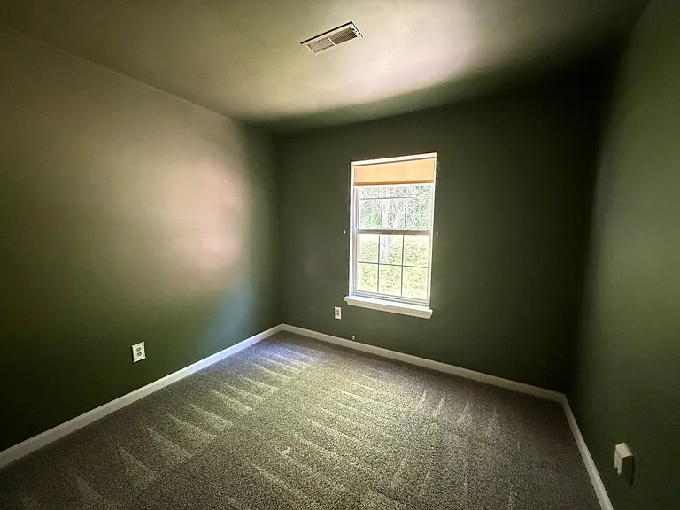 137 Snapdragon Rd — Photo 20