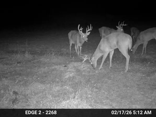 Road 314, Herndon, KS 67739