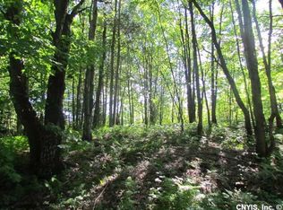 2068 Apple Mill Rd, Constableville, NY 13325