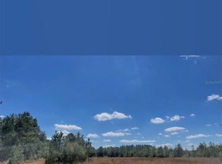 NE 124th St Lot 4, Fort Mc Coy, FL 32134