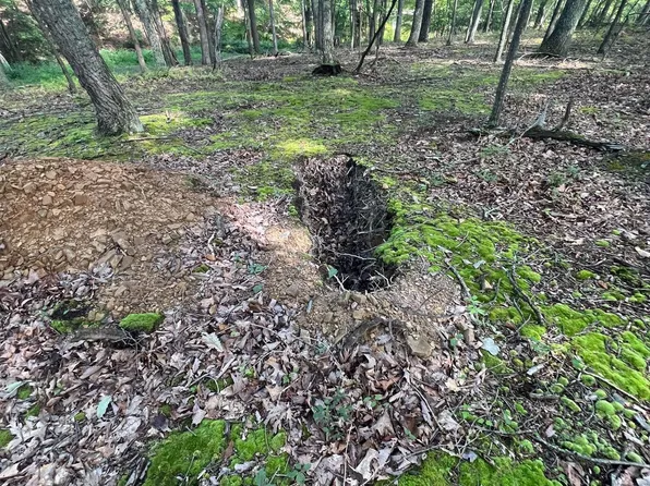 39 Sleepy Knls, Shanks, WV 26761