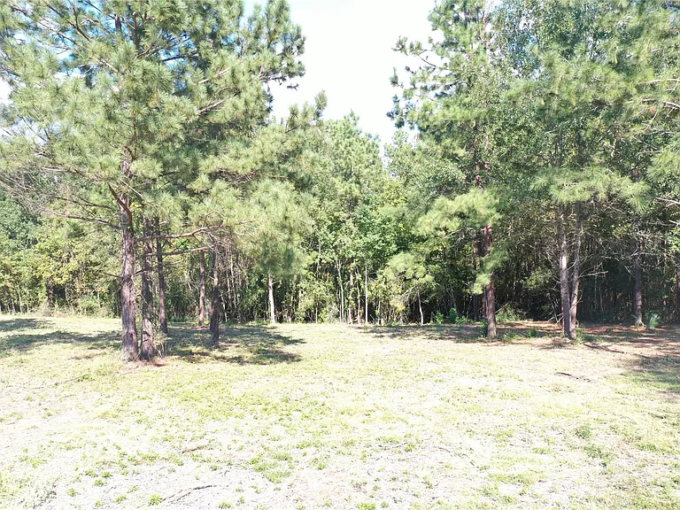 185 S FM 356 W — Photo 21