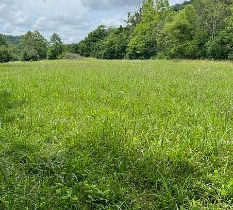 5th image of 0 Clinch River Hwy