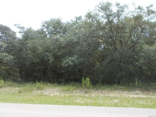 323 N Highview Ave, Hernando, FL 34442
