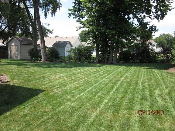 Back Yard and Storage Shed