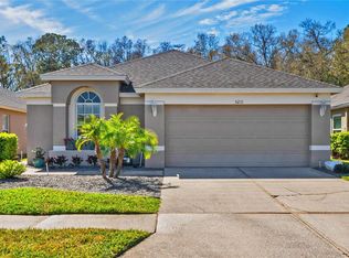 5211 Gato Del Sol Cir, Wesley Chapel, FL 33544