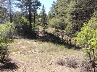 1222 Crooked Road, Pagosa Springs, CO 81147