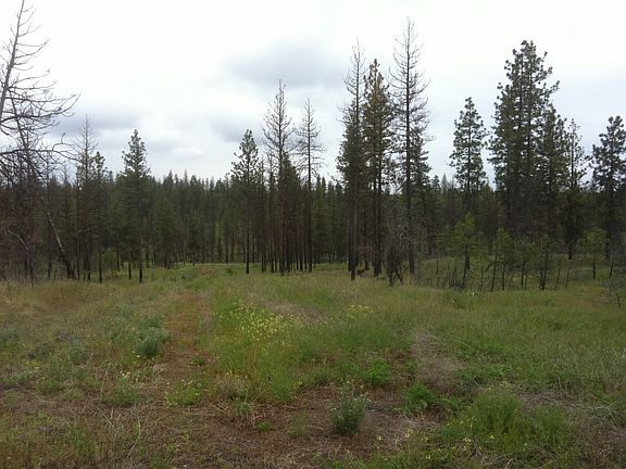3rd image of Tract A3 Medowlane E