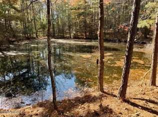 8 Old Dames Ferry Rd, Juliette, GA 31046