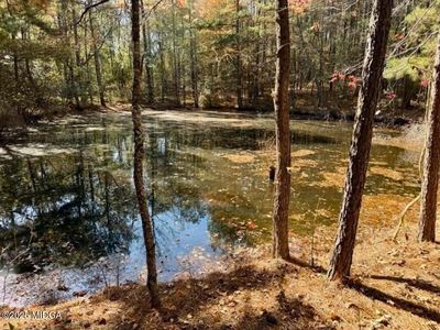 8 Old Dames Ferry Rd, Juliette, GA, 31046