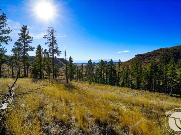 0 Dry Hole Trl, Reed Pt, MT 59069