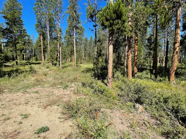 2255 GCR 518S, Tabernash, CO 80478