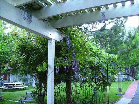 Front yard in Spring