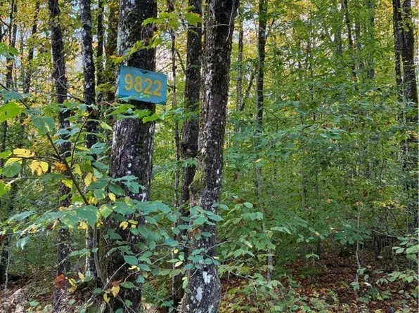 9822 Culver Brook Rd, Remsen, NY 13438