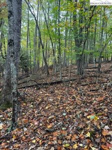 108 Black Birch Lane, Beech Mountain, NC, 28604