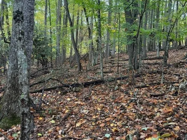 108 Black Birch Lane, Beech Mountain, NC 28604