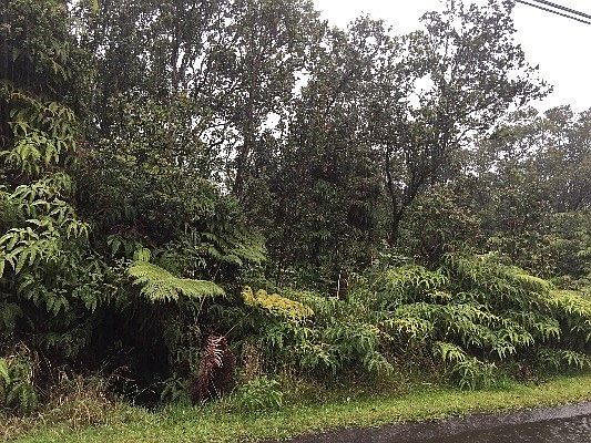2nd image of Old Volano & Liona Lot 53B6