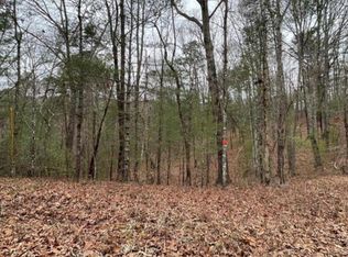 0 Amelia Dr #38, Ellijay, GA 30540