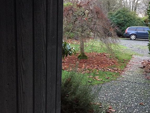 Front door in early winter looking out at Japanese maple